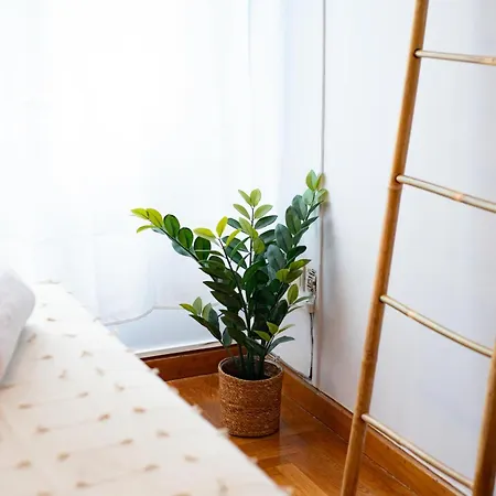 Olympus Living For Groups Apartment